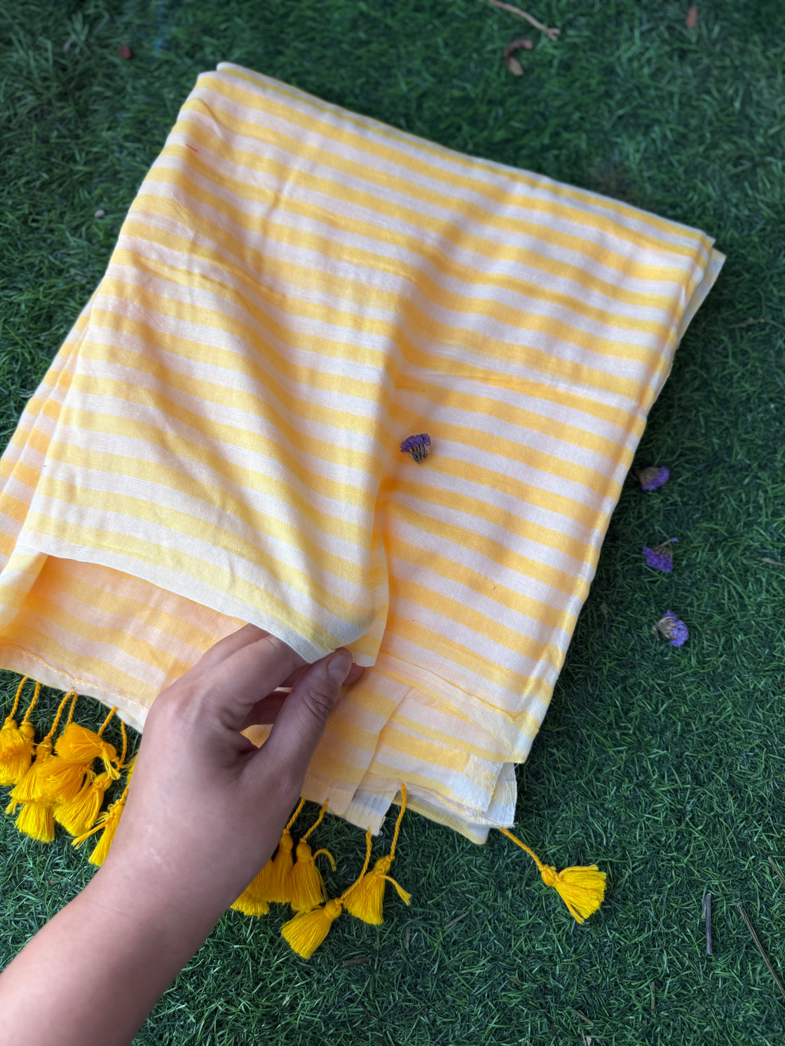 Sweet summer cotton saree