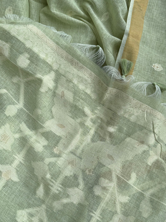 Summer green cotton saree