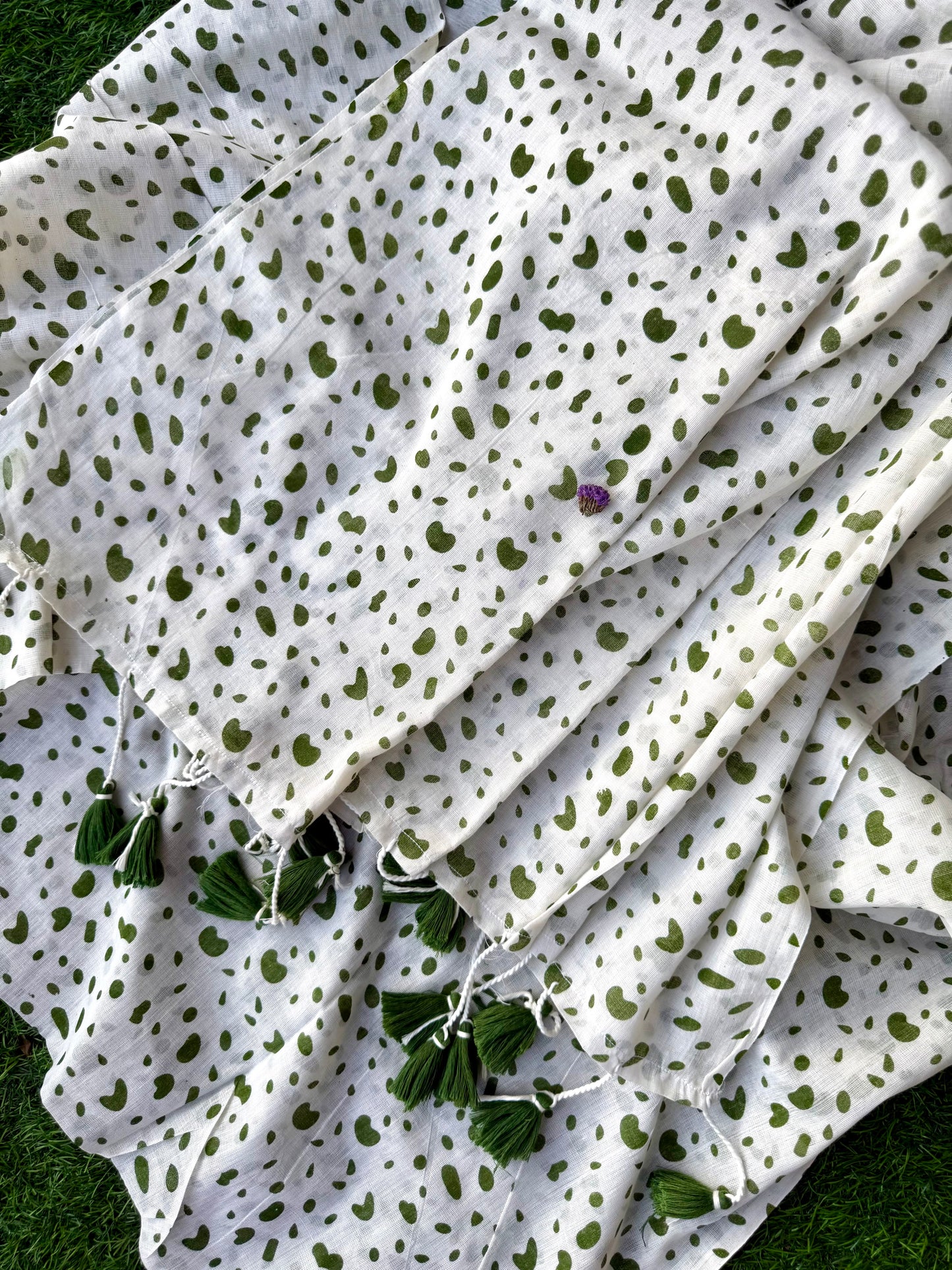 Summer garden cotton saree