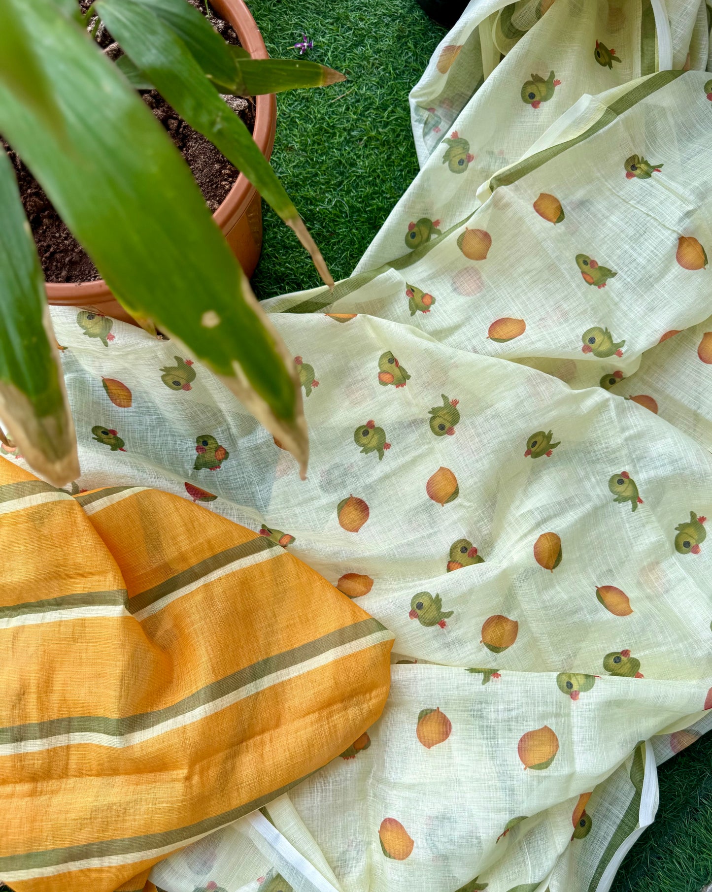 Summer vacay cotton saree