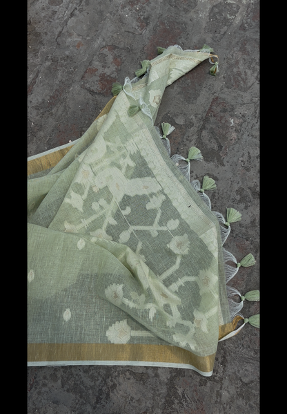 Summer green cotton saree